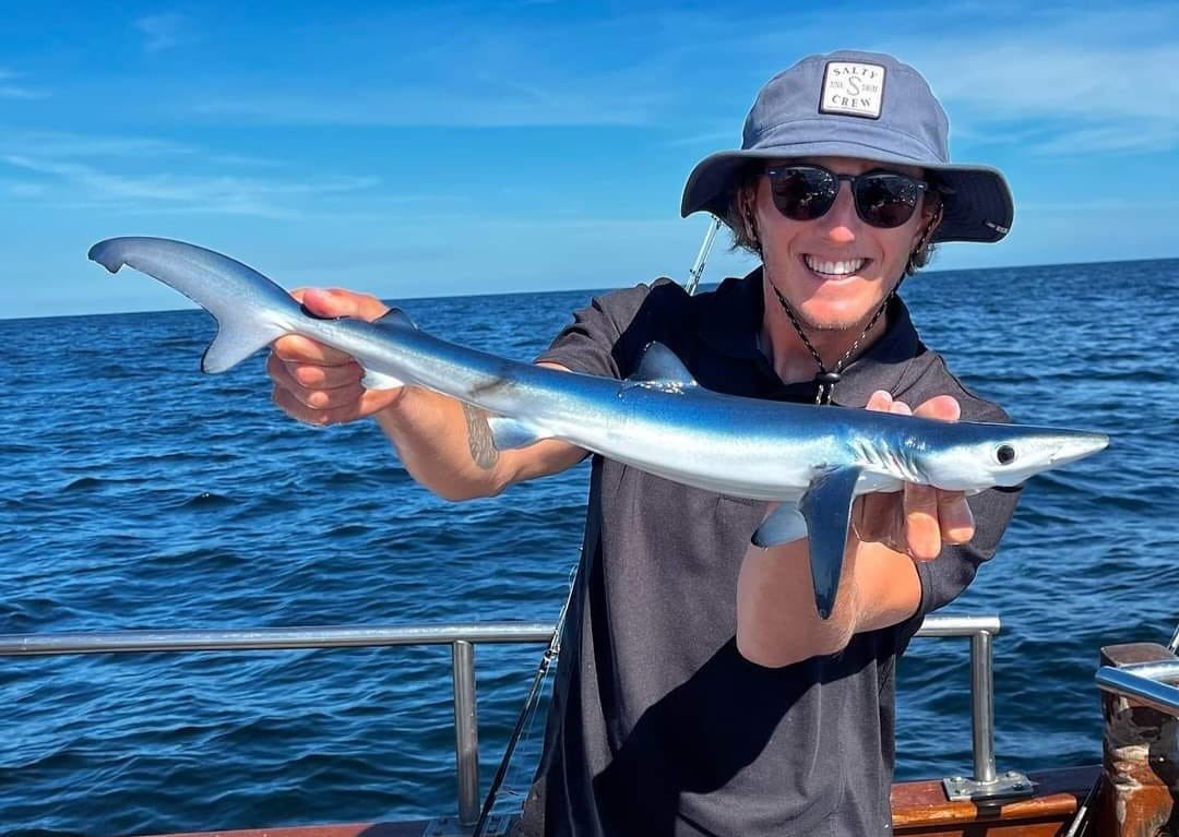If anyone sees any tiny blue sharks this year in the S and west of the U.K. (lesser spotted dogfish size) could they send a picture. We are particularly interested in the underside of the pup as it will allow   NOAA to age the fish &amp; get an idea of how close the pupping occurred