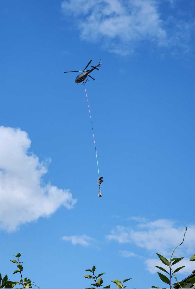 Gaymer_02's tweet image. Es wird an der #Riedbahn gearbeitet, mit Helikoptern :3