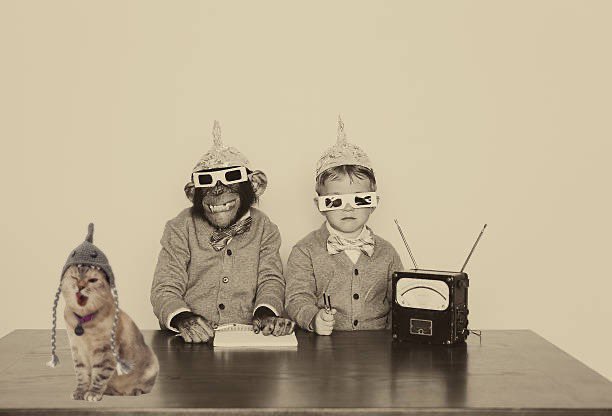 <a href="/WhaleInsider/">Whale Insider</a> 😁