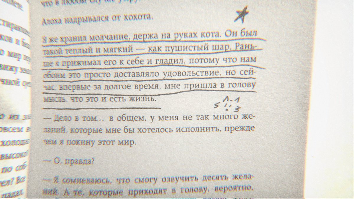 sveeg_'s tweet photo. †:"Кошки так не ранят, как людишки иногда https://t.co/aJK8NXNOLp