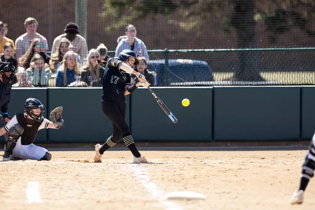 Bemidji State Softball tweet media