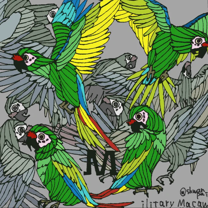 ミドリコンゴウインコ 