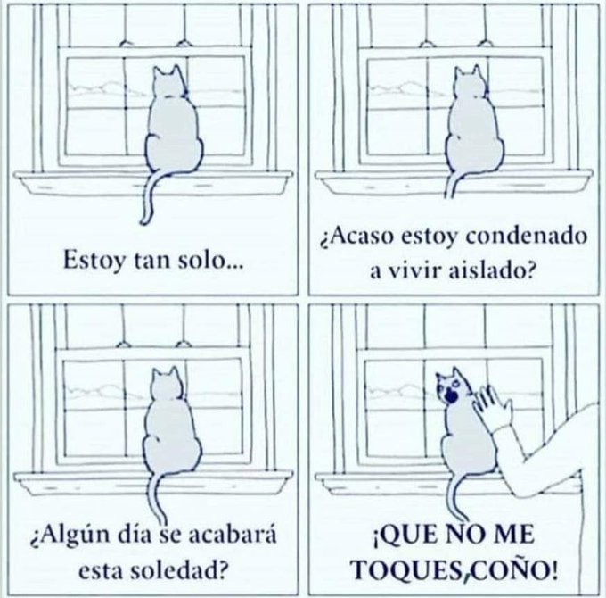 📌 😅 soy https://t.co/EtaRWTzVMd<a href="/tag/sabado"class="tags"><span>#sabado</span></a>