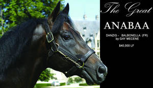 HORSERACING1002's tweet image. ANABAA 🇺🇸1992
(DANZIG - BALBONELLA BY GAY MECENE)#Anabaa
B/ Gainsborough Farm (Ky) Mar 13, 1992
O/ Alec Head
T/ Christiane Head
13-8-2-1---$482,394
1996 Hwt older horse 5-7f
Prix Servanne, July Cup G1, Prix Cor de Chesse, prix de Saint George G3, Prix du Gros Chene G2, Prix