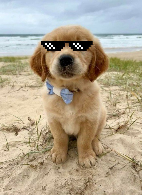 <a href="/Yennii56/">Yenni</a> No need 25 SOL

but here we have a 13 y old dev, doing it all right 

200 in VC
12,5 Million volume 

$ARSY 
dexscreener.com/solana/ahbd6h2…