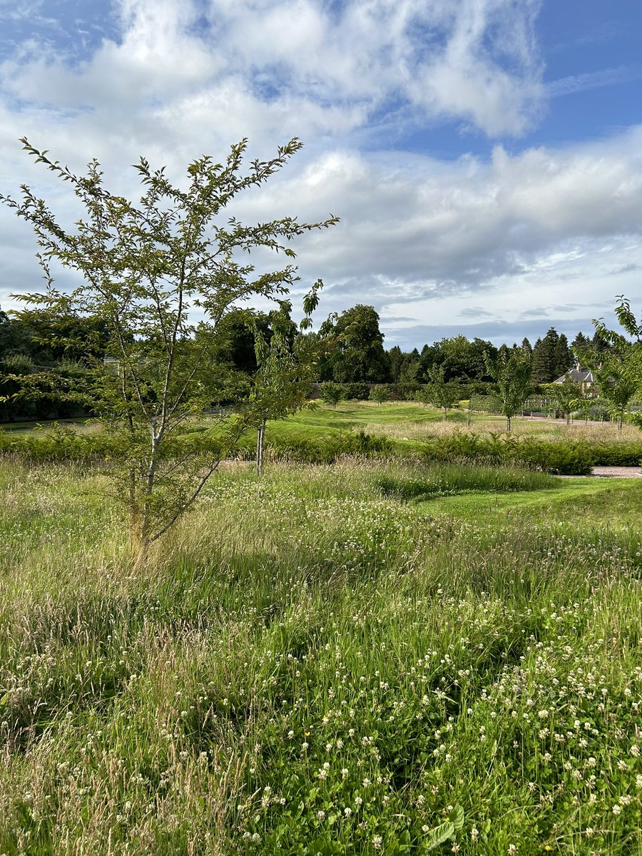 Zara Gordon Lennox tweet media