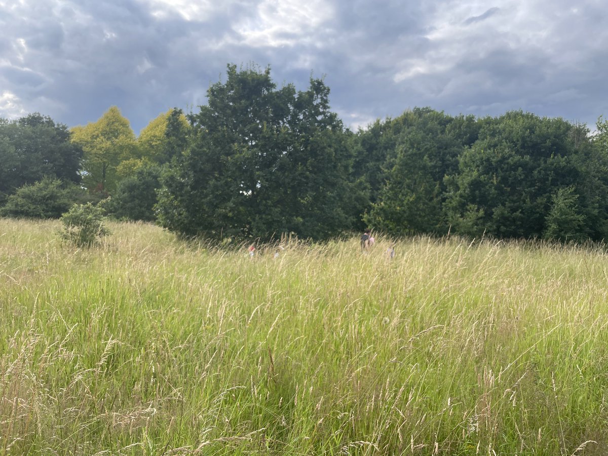 The last one was a blast, and this one has *another* brilliant lineup 🙌🏻 come party with us 🥳at #CarltonClub 🪩🕺🏻 and help us raise campaign funds to save our beautiful Fields 💚