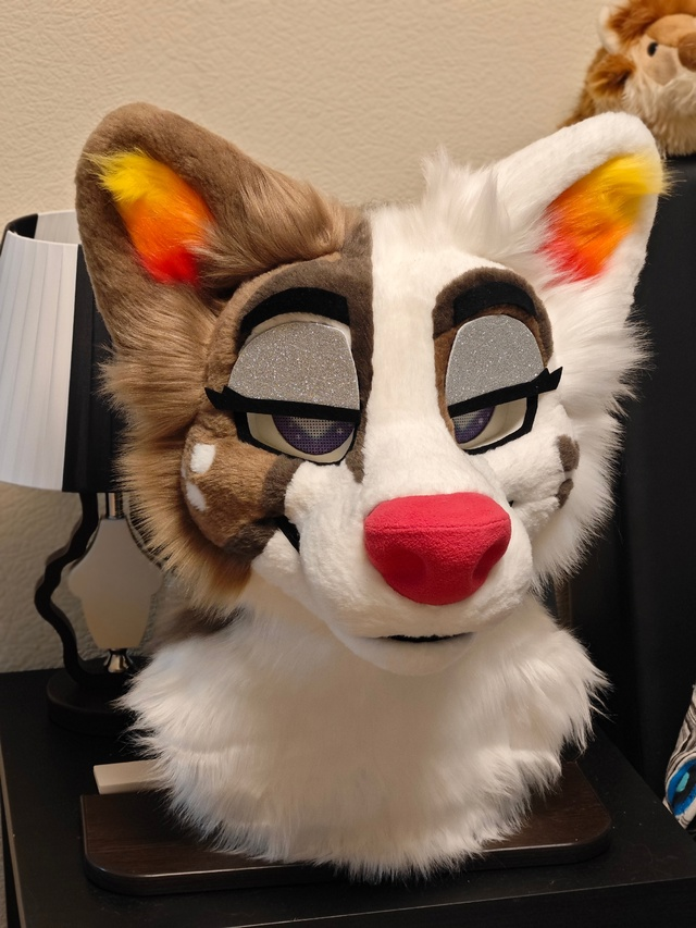 Tigress_Zews's tweet image. Which eyelids do you like better?)
#fur #fursuitmaker #fursuitbase #fursuitcommissions #fursona #fursuitbuilder #fursuitpartial #fursuit #fursuitdancer #fursuiting #fursuitmakin #furry
#furryfandom #furrycommunity #fursuit #fursuitmaker