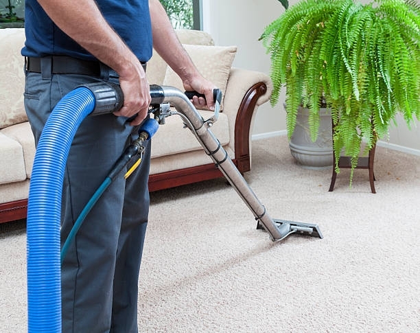 MacProRestore's tweet image. Did you know that carpets can hold up to four times their weight in dirt and bacteria? Our professional cleaning can improve indoor air quality and prevent health issues. Visit our website to learn about our services: bit.ly/3we8862