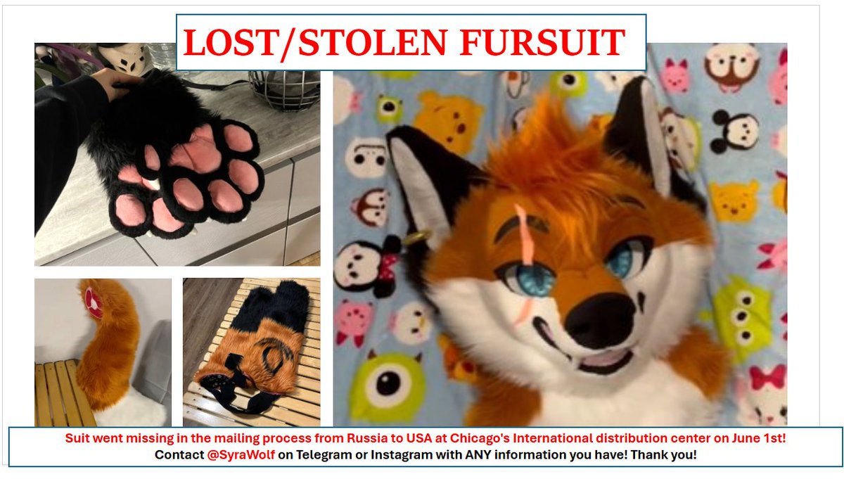 SyraWolf's tweet photo. STOLEN FURSUIT PLEASE HELP ME FIND HER! SHARE EVERYWHERE!

My suit went missing on June 1st at Chicagos international distribution center.

PLEASE CONTACT ME (@SyraWolf) IF YOU HAVE ANY KNOWLEGE OF THIS SUITS WHEREABOUTS OR SEEN THIS SUIT ANYWHERE https://t.co/6wrvOjTwW8