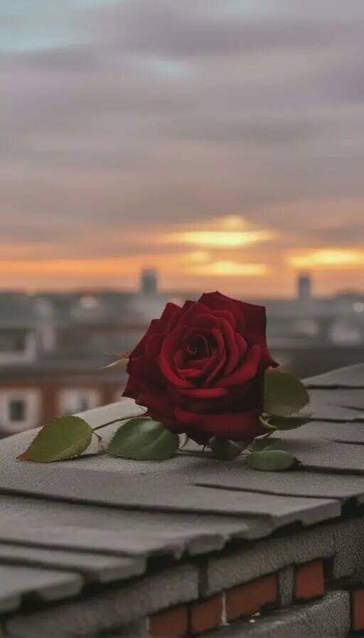 HINA SULEMAN tweet media