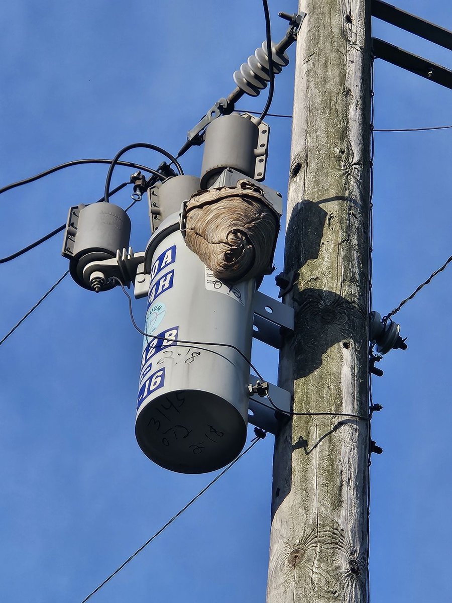 Challenges definitely make life more interesting. Crews found a hornet’s nest this morning on one of our reclosers on Hwy YY. When it cools down, we get to evict our unwanted nest dwellers.