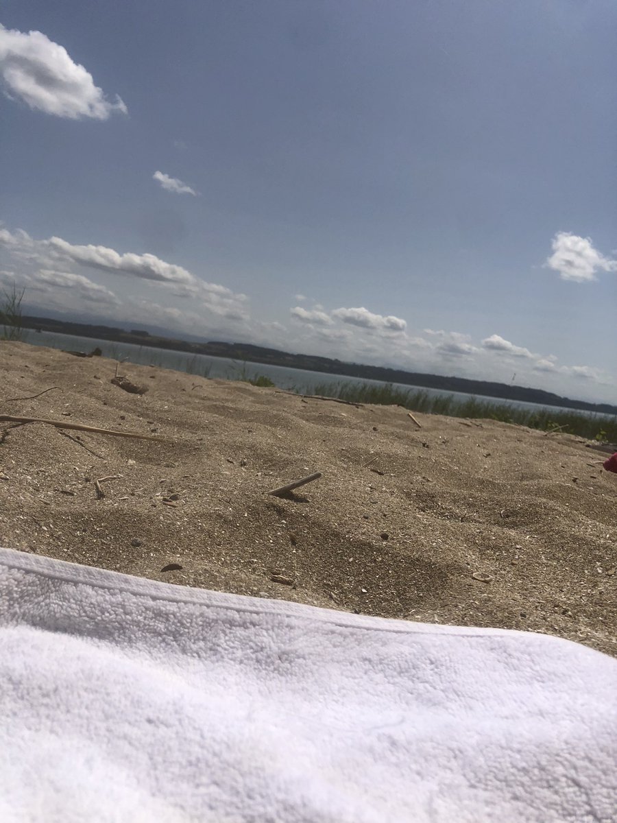 31keer's tweet photo. C’était une belle après-midi au lac ⛱️🌞🏊‍♂️ https://t.co/HDB2MLS8f1