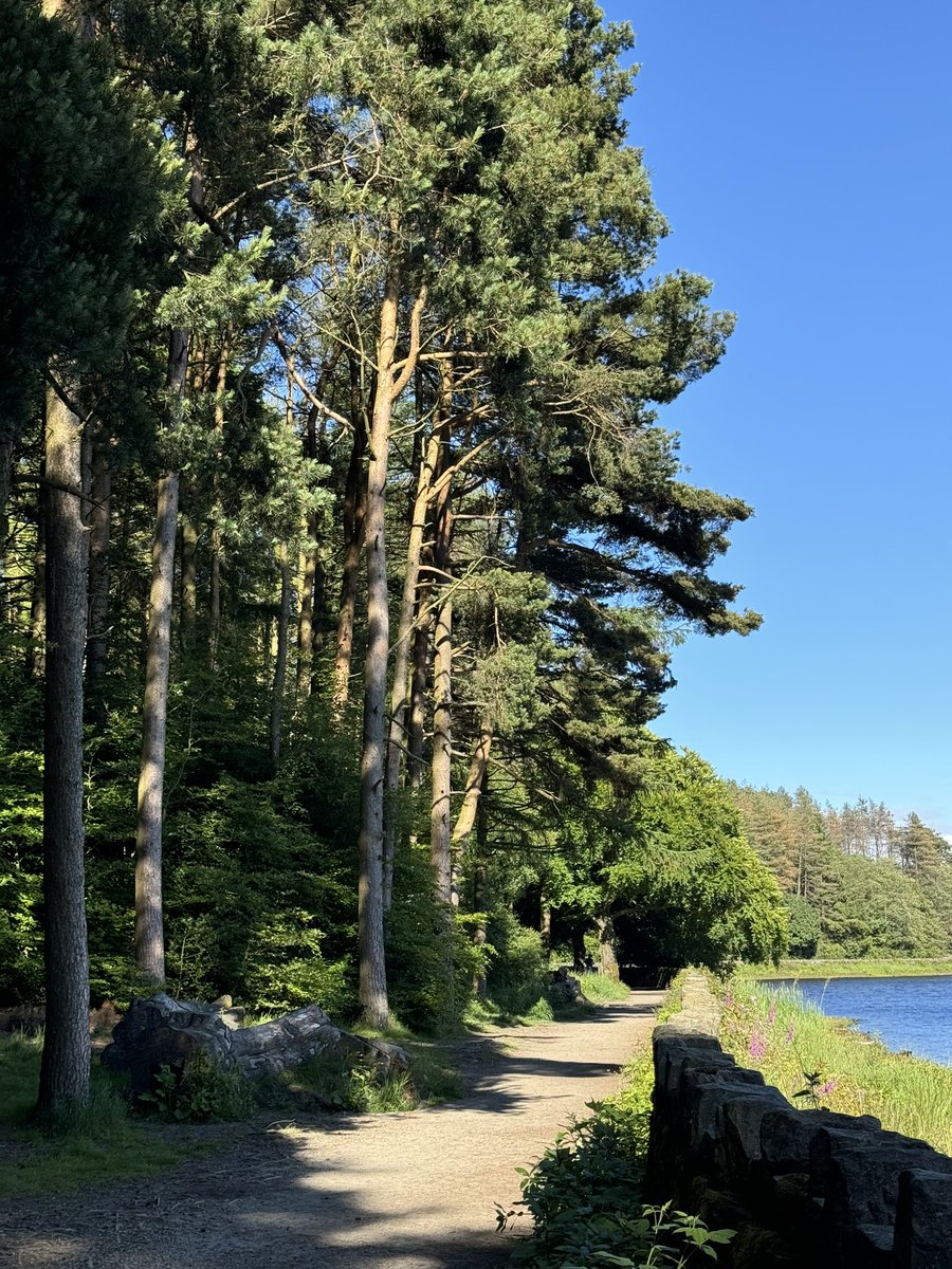 Couple of recent snaps from Entwistle. 

We’ll retweet all photos of Bolton and immediate surrounds, just tag us. Let’s get some civic pride back into the area. 💙🤍