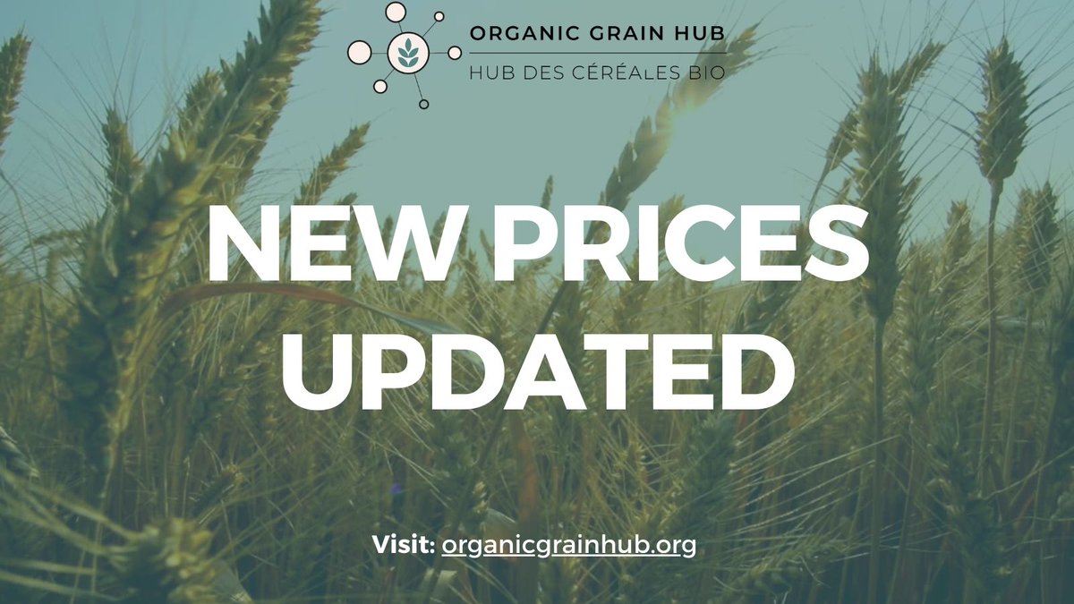 organicgrainhub's tweet photo. PRICES ON THE ORGANIC GRAIN HUB JUST UPDATED! 
As of today, organic oats is fetching an average of $7.88 per bushel in the Praires, between a range of $6.25-$9.00 per bushel.
Want to learn more about other organic grain prices? Visit the Organic Grain Hub: https://t.co/xztCsB0q6b https://t.co/sPbQyIwV5o