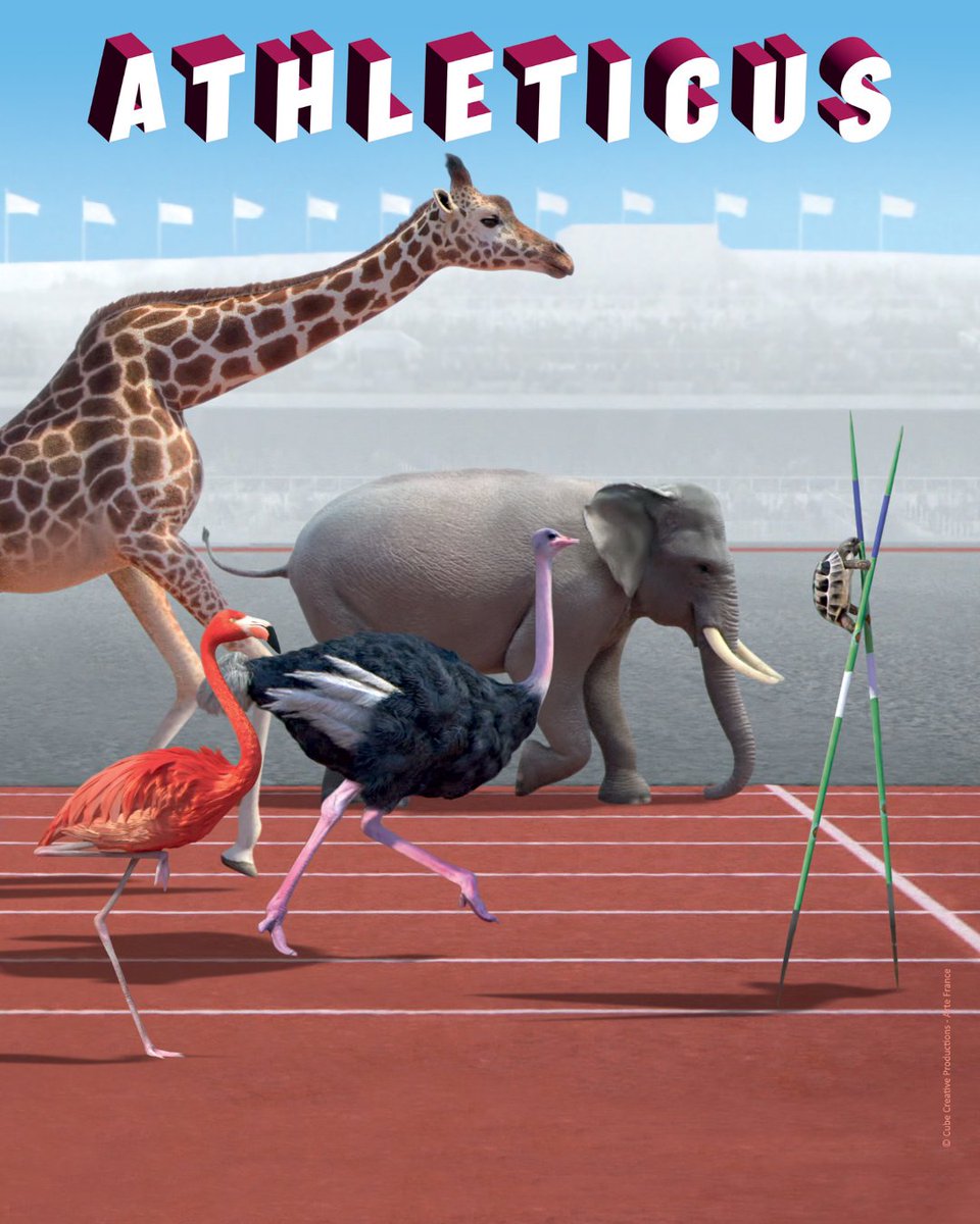 Xilam Animation tweet media