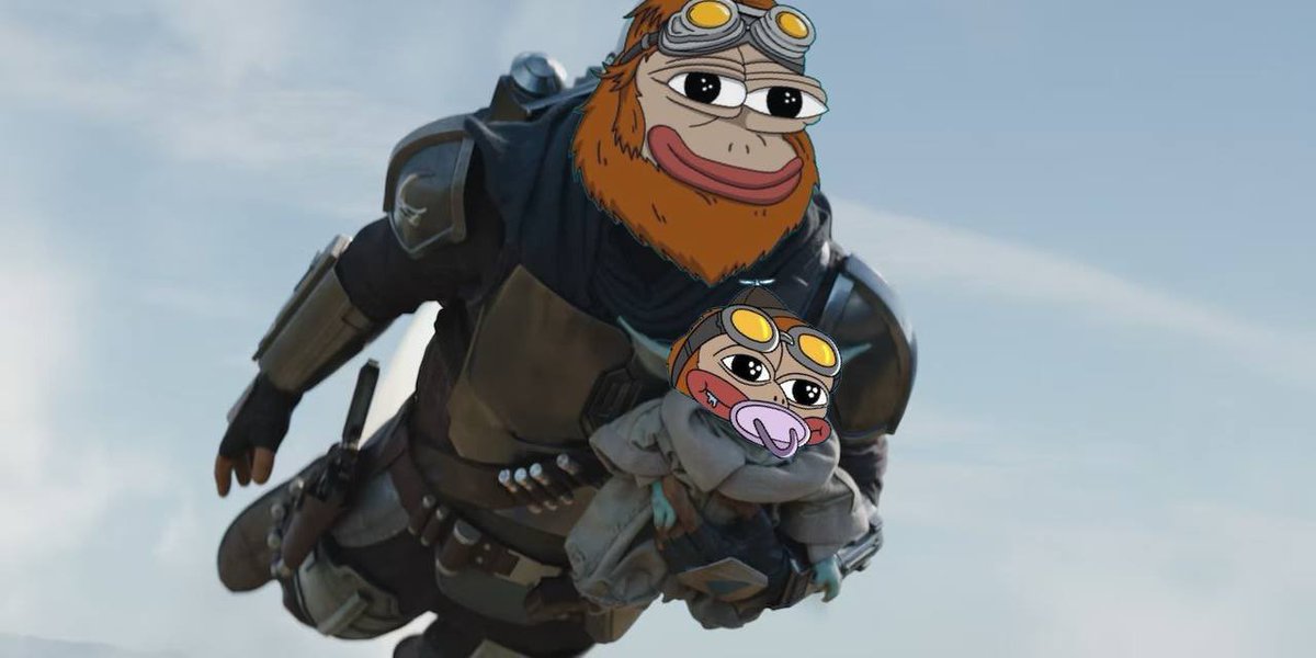 Shawn Peters tweet media