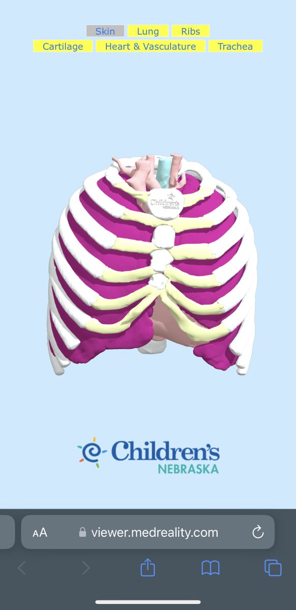 Dr. Monti Sharma and Gabe Linke (<a href="/ChildrensNE/">Children's Nebraska</a>) teamed up to create this amazing MedPresenter experience on #MedReality -- complete with buttons to turn pieces of the model on/off!

Explore the 3D lung 🫁 model here: medreality.co/ChildrensNebra…

#MedPresenter #AR #AugmentedReality #VR