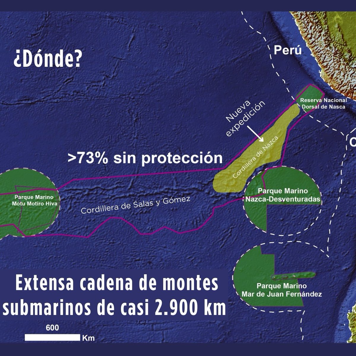 esmoi_ucn's tweet photo. #ESMOI 🌊🌎🪸🐙🛳️ //

▶️ Entre el 8 de Julio y 9 de Agosto estaremos explorando la Dorsal de Nazca en aguas internacionales a bordo del Falkor (too) del @SchmidtOcean

▶️ Acompáñanos y no se pierdan las transmisiones en vivo del ROV SuBastian 🕹️🪸🐟

🔗 https://t.co/ro3Ms8vasK https://t.co/srkcy3cX1O