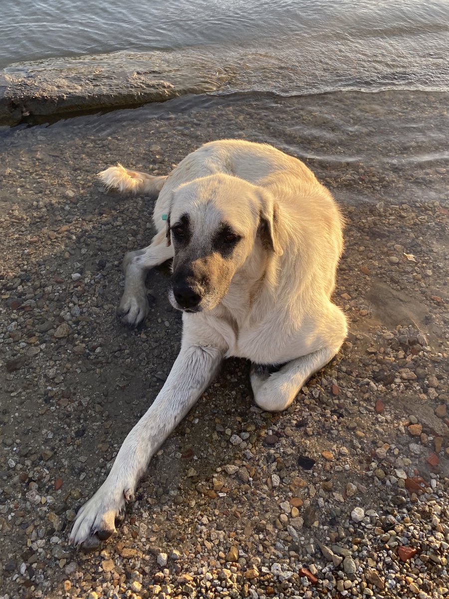 Bir gün biriniz hakkında bile "hak etmiştir" demeyeceğim. 
#YasaDeğilCinayet 
#YasayıGeriÇekKatliamaHayır 
#yasayahayır