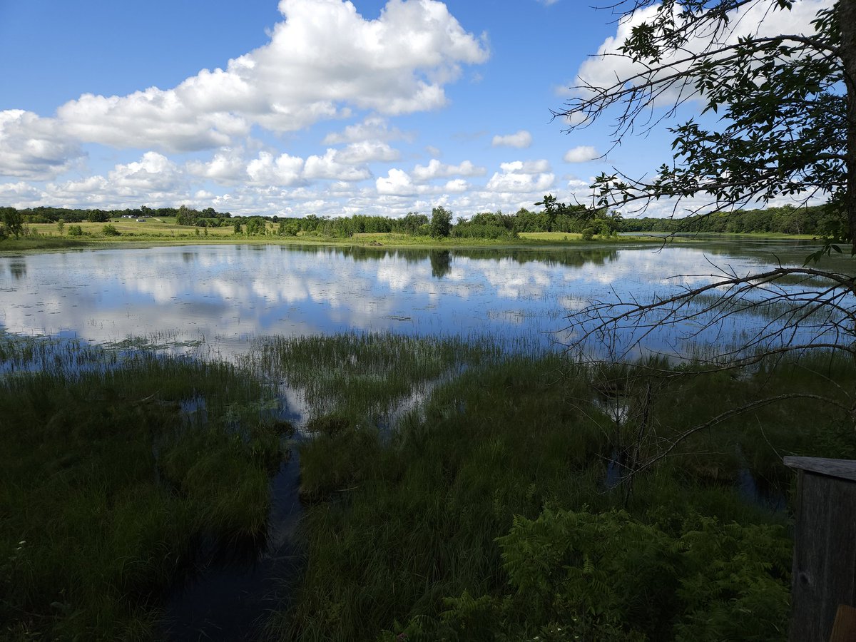 Not_A_Vibe1's tweet photo. This Serene lake picture is brought to you by @BuschBeer https://t.co/p8mr83kRcO