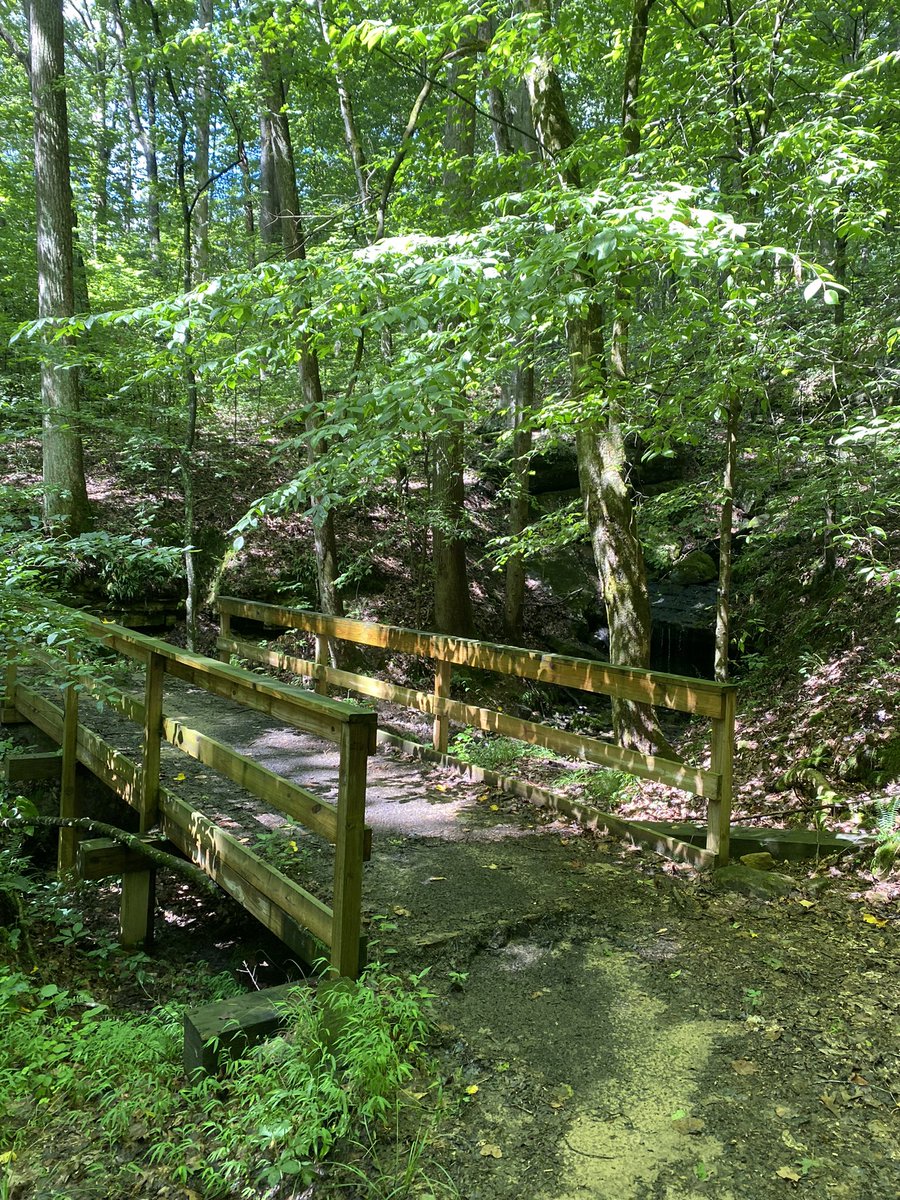 CCamp00's tweet photo. 5.5 mile hike at Mammoth Cave (Sal Hollow and Buffalo Creek Loop Trail). #cavecountrytrailschallenge https://t.co/pQlwt6N6Rf