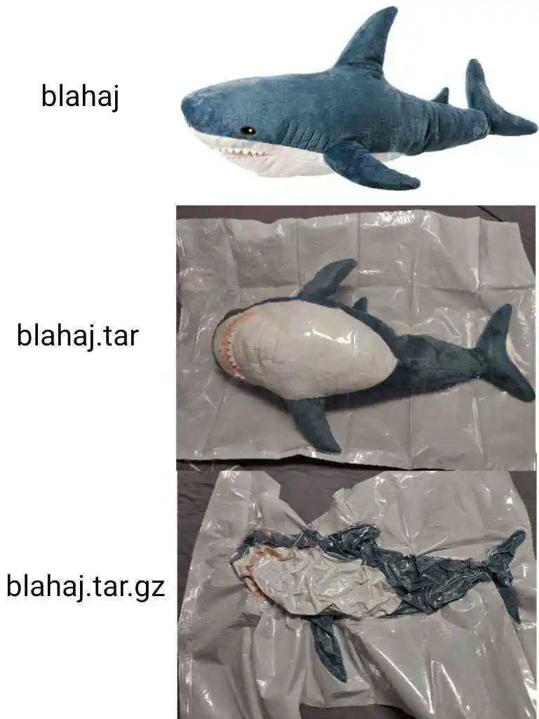 KlaimGames's tweet image. blahaj

#programmerHumour