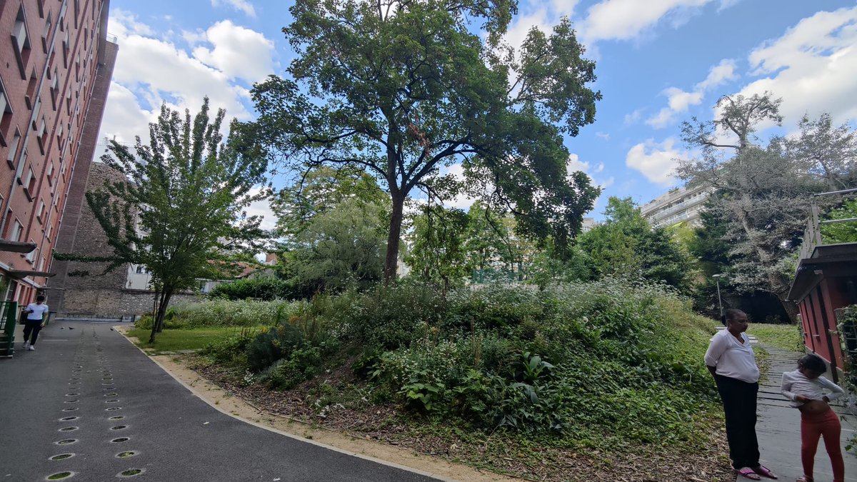 FrancoisDagnaud's tweet photo. À la découverte de l'îlot de fraîcheur de la résidence @Paris_Habitat du 14 rue Clavel. Un nouvel espace arboré ouvert aux résidents de l'immeuble pour se mettre à l'ombre et au frais ! https://t.co/NOK2rVMSjG
