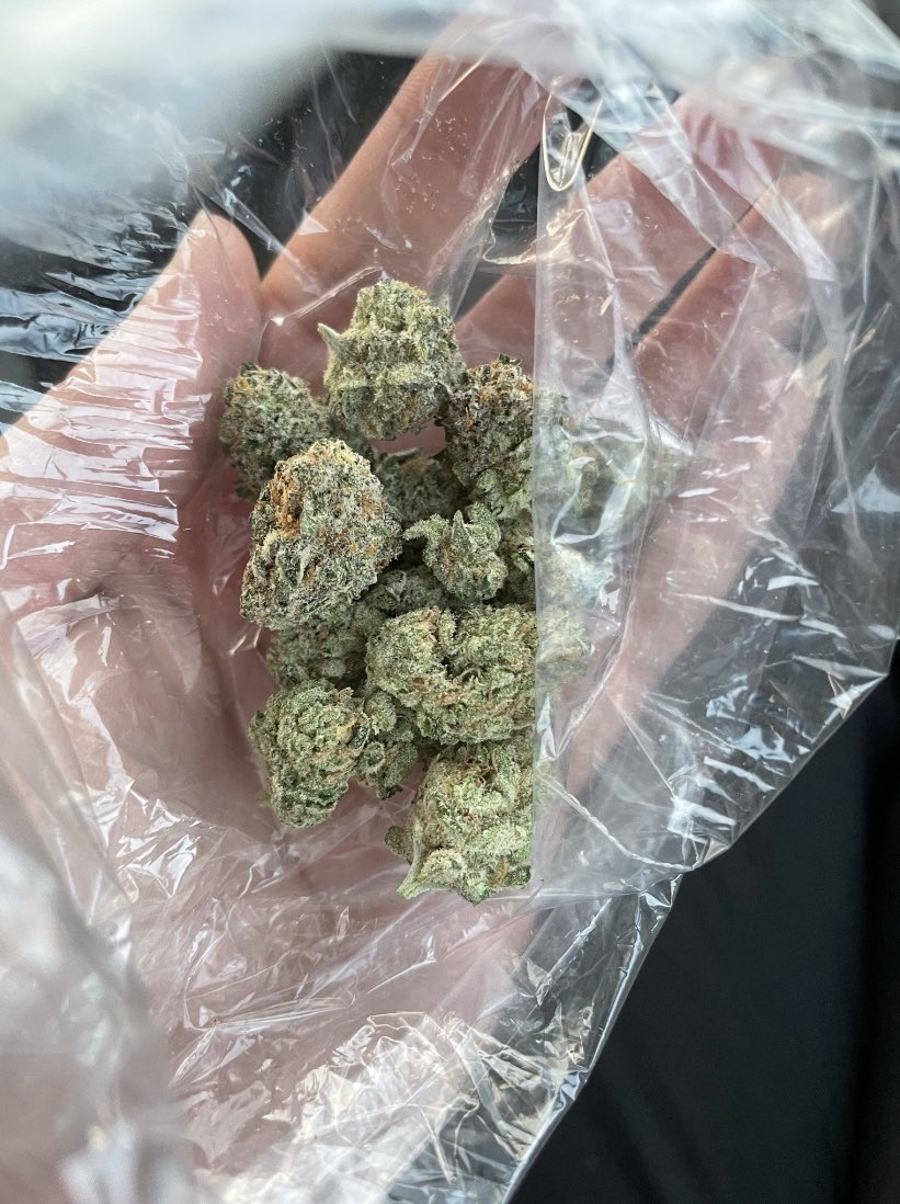 blunt_horizon's tweet photo. #Charlotte #Charlottegas #charlotteweed #unccgas #unccplug #uncc #Freeweed #Clt #Cltweed #smoke https://t.co/fphrmZe4xs