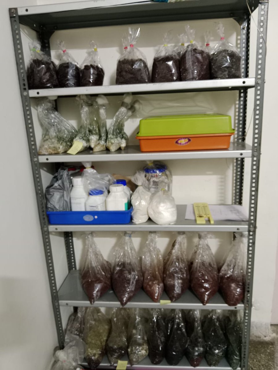 MYCOCOMPOST's tweet photo. #Mycocompost
Small scale lab set up for production of composting microbes. https://t.co/qRckreoch3