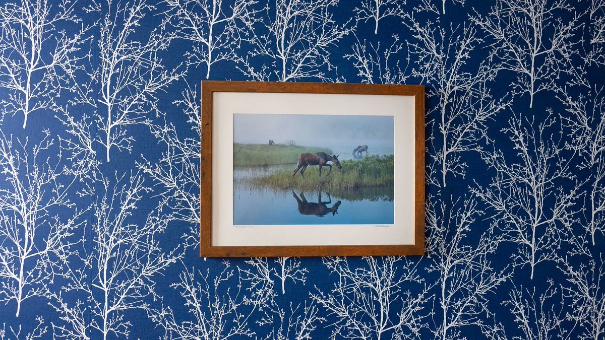 Stephanie McFeeters tweet media