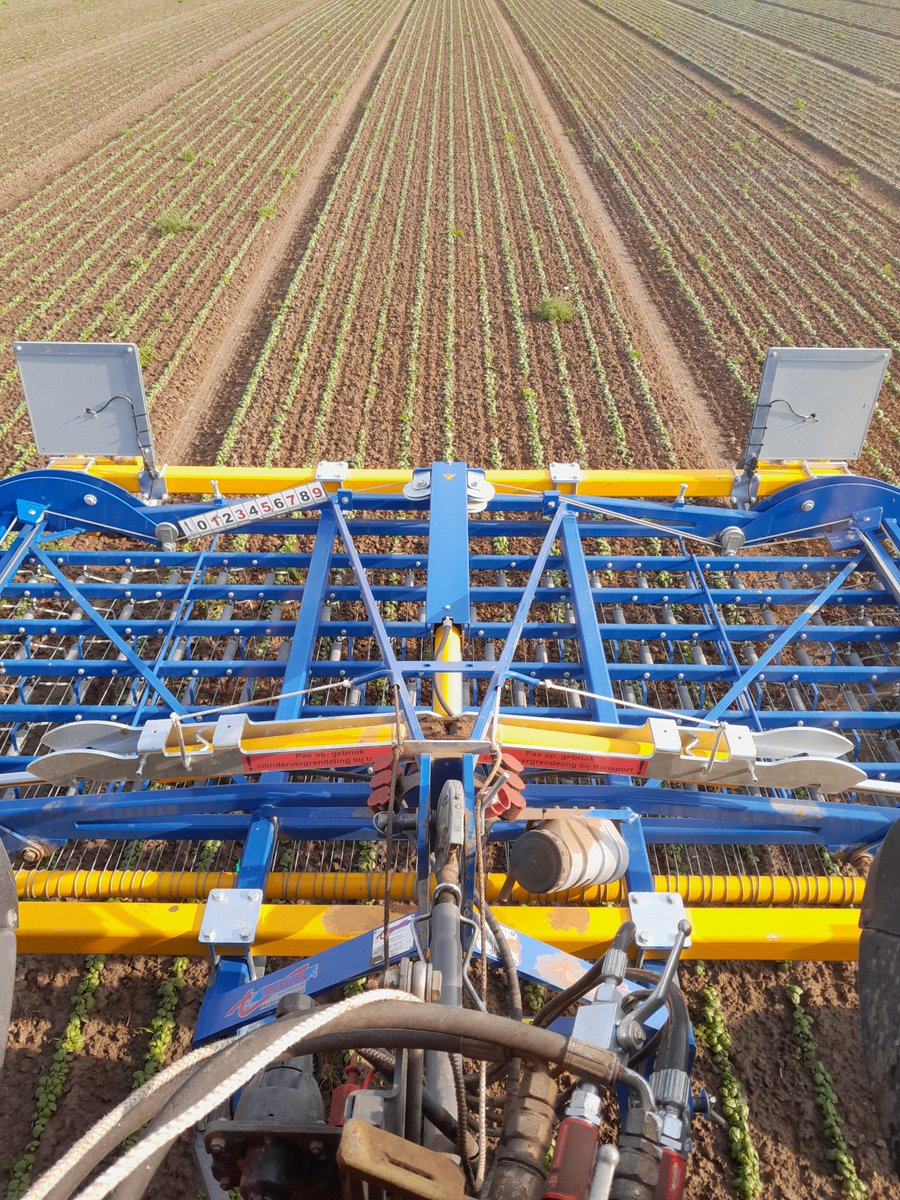 Bert Dhaene tweet media