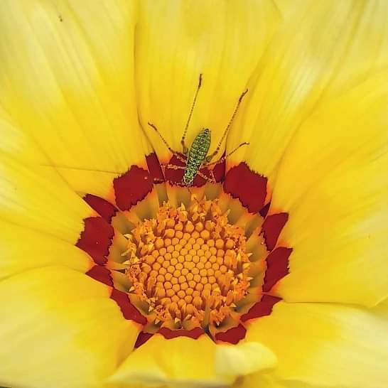 Sandrine Lorans (@colorsandar) on Twitter photo 