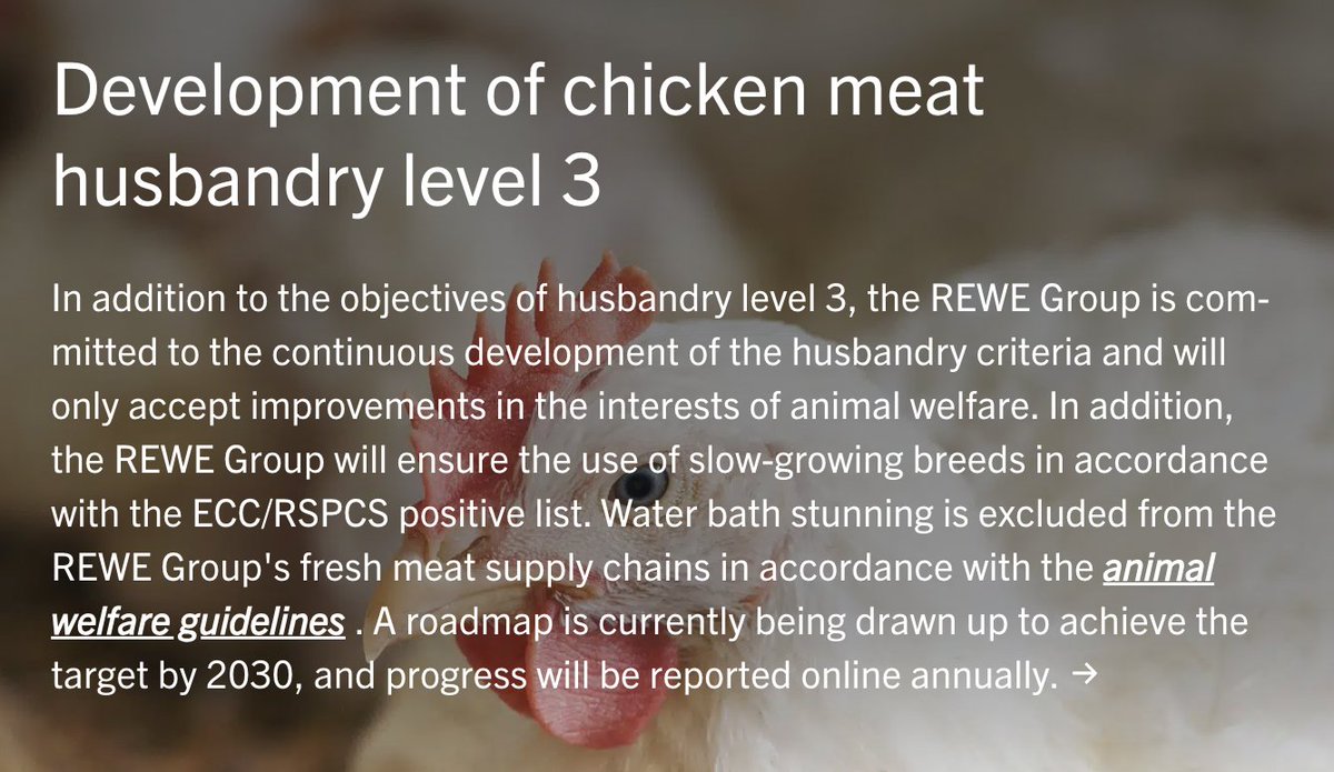 #3 German retailer REWE will phase out the sale of most chicken from low-welfare breeds by 2030. This will likely impact >50M animals/year. 

It will also set a strong precedent. German retailers led the world in phasing out battery cages, gestation crates, and chick-killing in