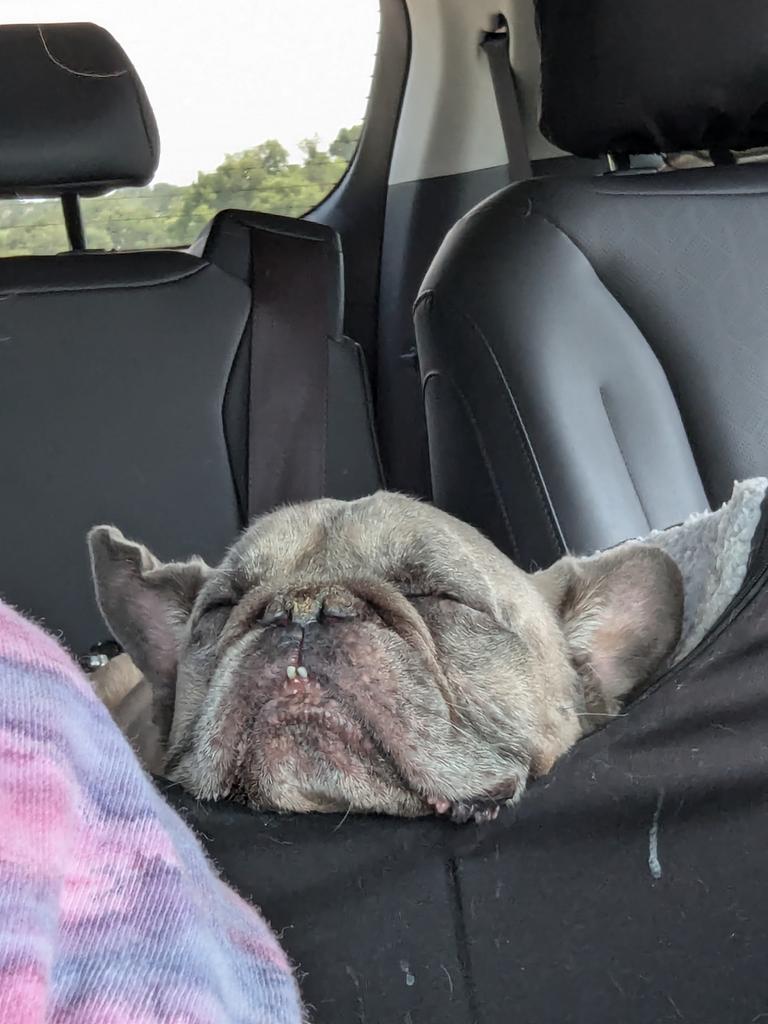 BAJessEss (Jessy) tweet media