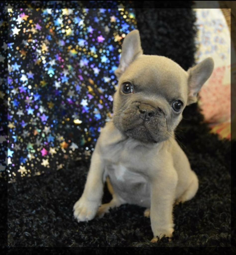 BAJessEss (Jessy) tweet media