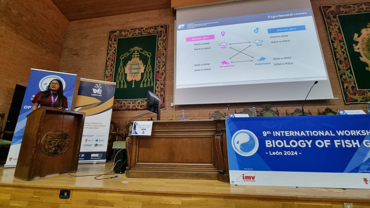 Daniel Żarski tweet media