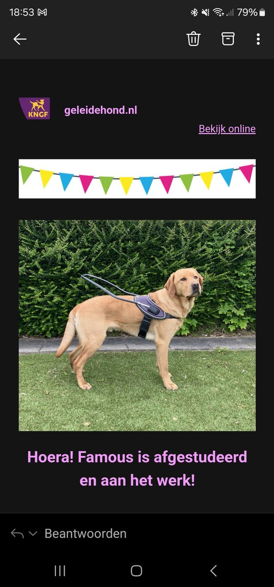 SummerJill1976's tweet image. Al jaren sponsor ik een pup, Auky wordt mijn 5e. 3 zijn er geslaagd, 1 is er gezakt. Ik kan zo smelten van het dagboek en de foto's #kngf #spup