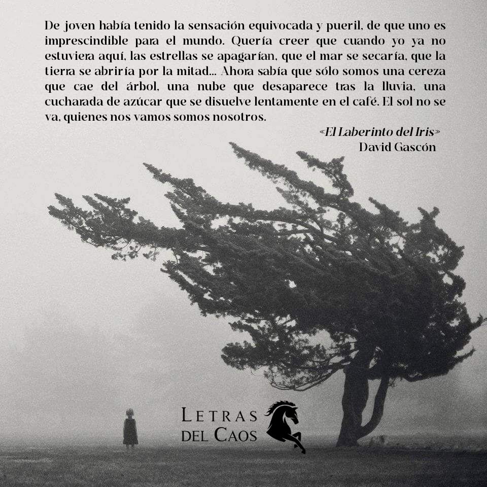 David Gascón tweet media