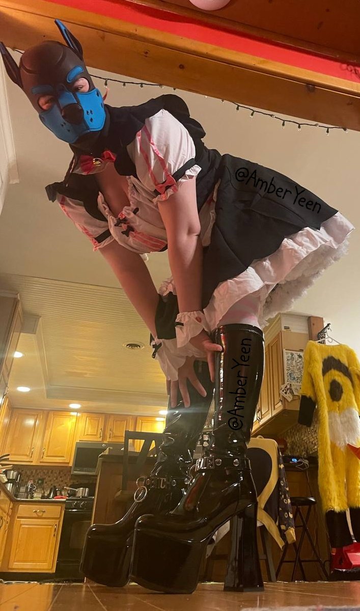 Puppy maid 🐶🧽🧼

📸 @ThePetSkunk