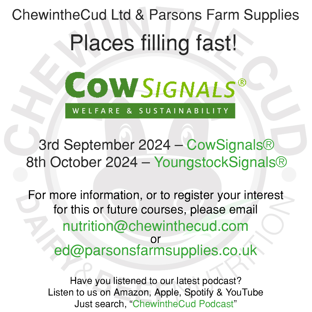 ChewintheCud Nutrition tweet media