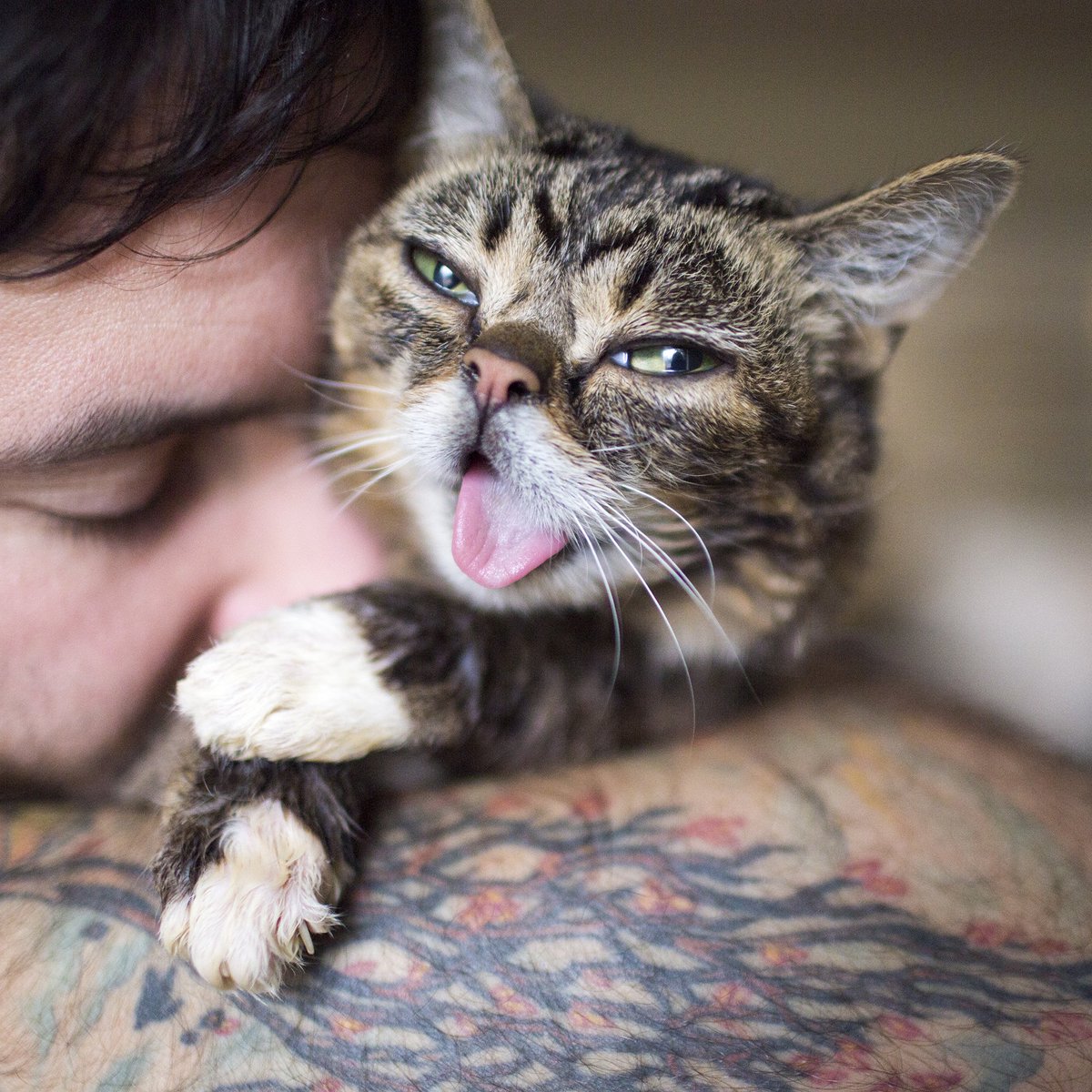 I liked to try to get as close to BUB as possible. #lilbub #bestjobbub