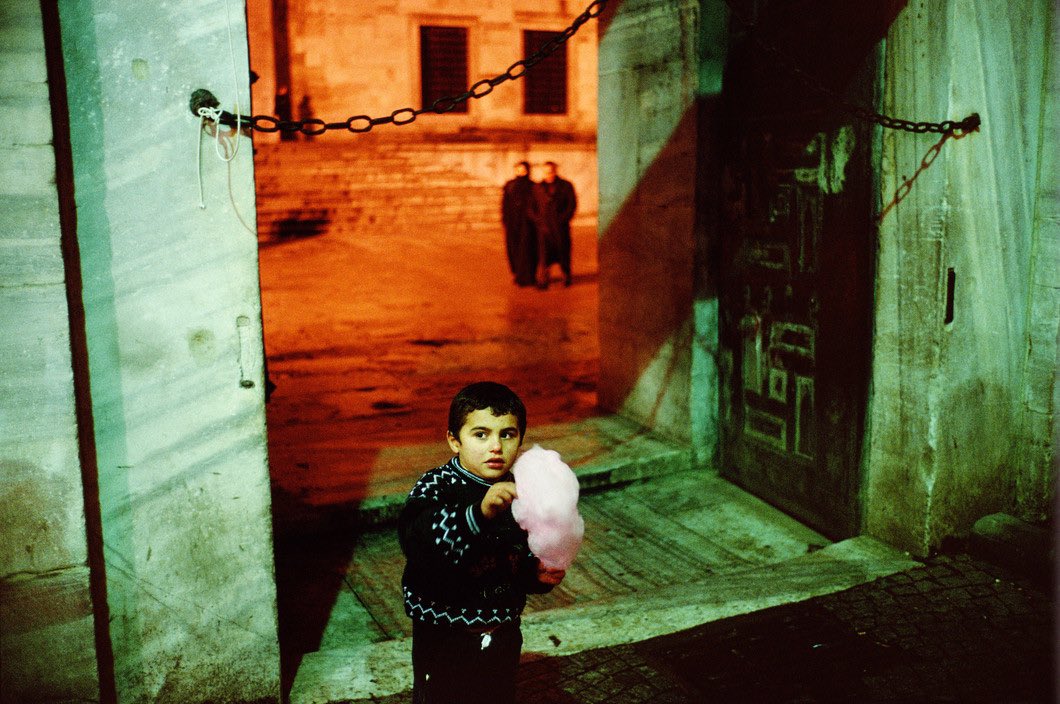 tez kızaran güllerden kendini sakın 

📜İsmet Özel 
📷Alex Webb