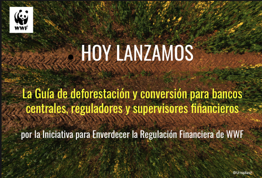 WWF_LAC's tweet photo. 🌎🌳⚠️¡WWF lanza hoy la Guía de #deforestación y conversión para #BancosCentrales, reguladores y supervisores financieros!

➡️ Conoce más en: https://t.co/lTsnC8v3ur

#FinanzasVerdes #CeroNeto #CambioClimatico #FinanzasSostenibles #GFRI #DCF https://t.co/zeZMJlMCRW