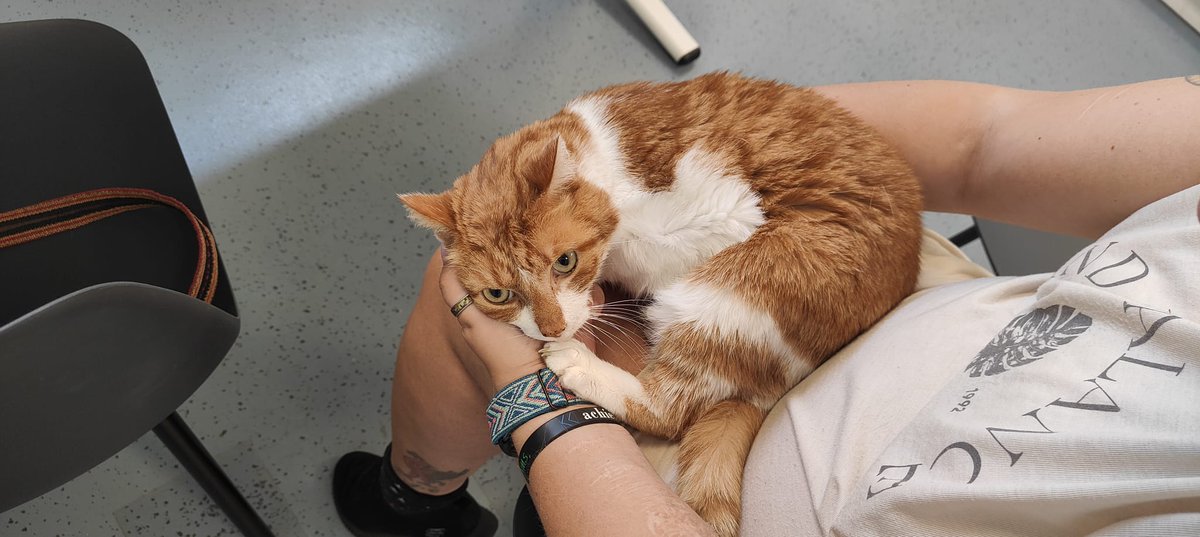 Tamara Berends tweet media