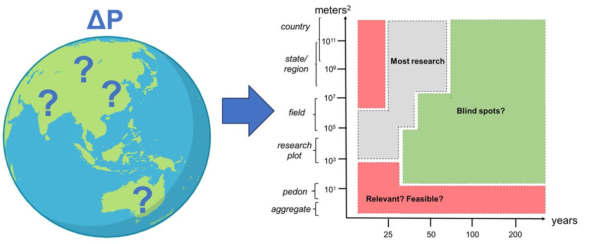 REVIEW
Missing phosphorus legacy of the Anthropocene: Quantifying residual phosphorus in the biosphere

📄 onlinelibrary.wiley.com/doi/full/10.11…