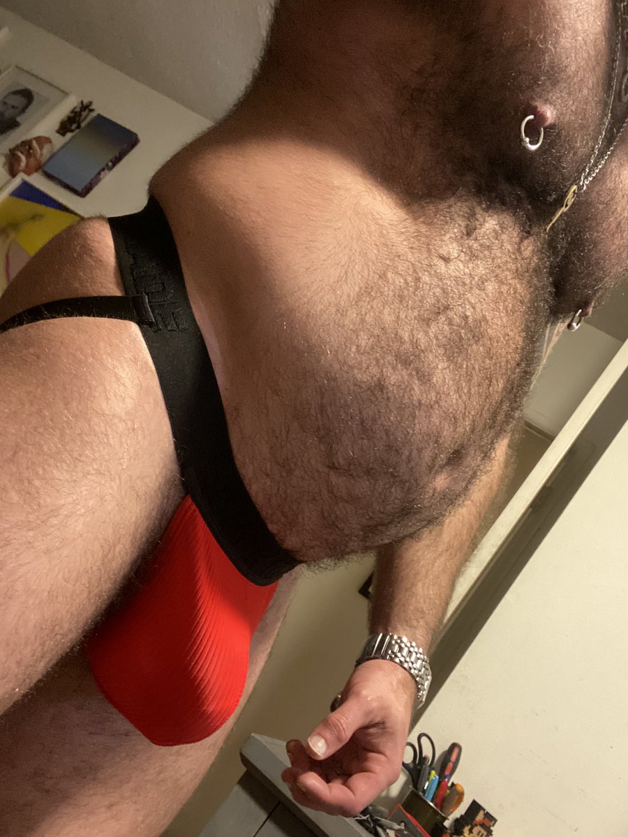 MACHO DOG tweet media