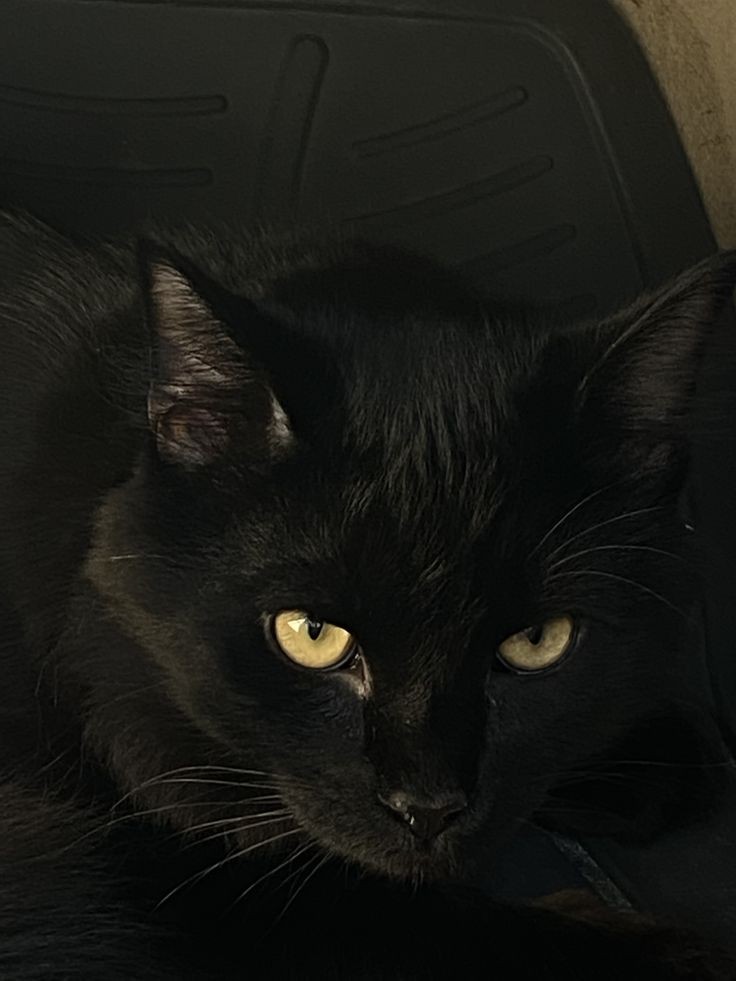 اليوم 2 ✅

#مجتمع_التعافي