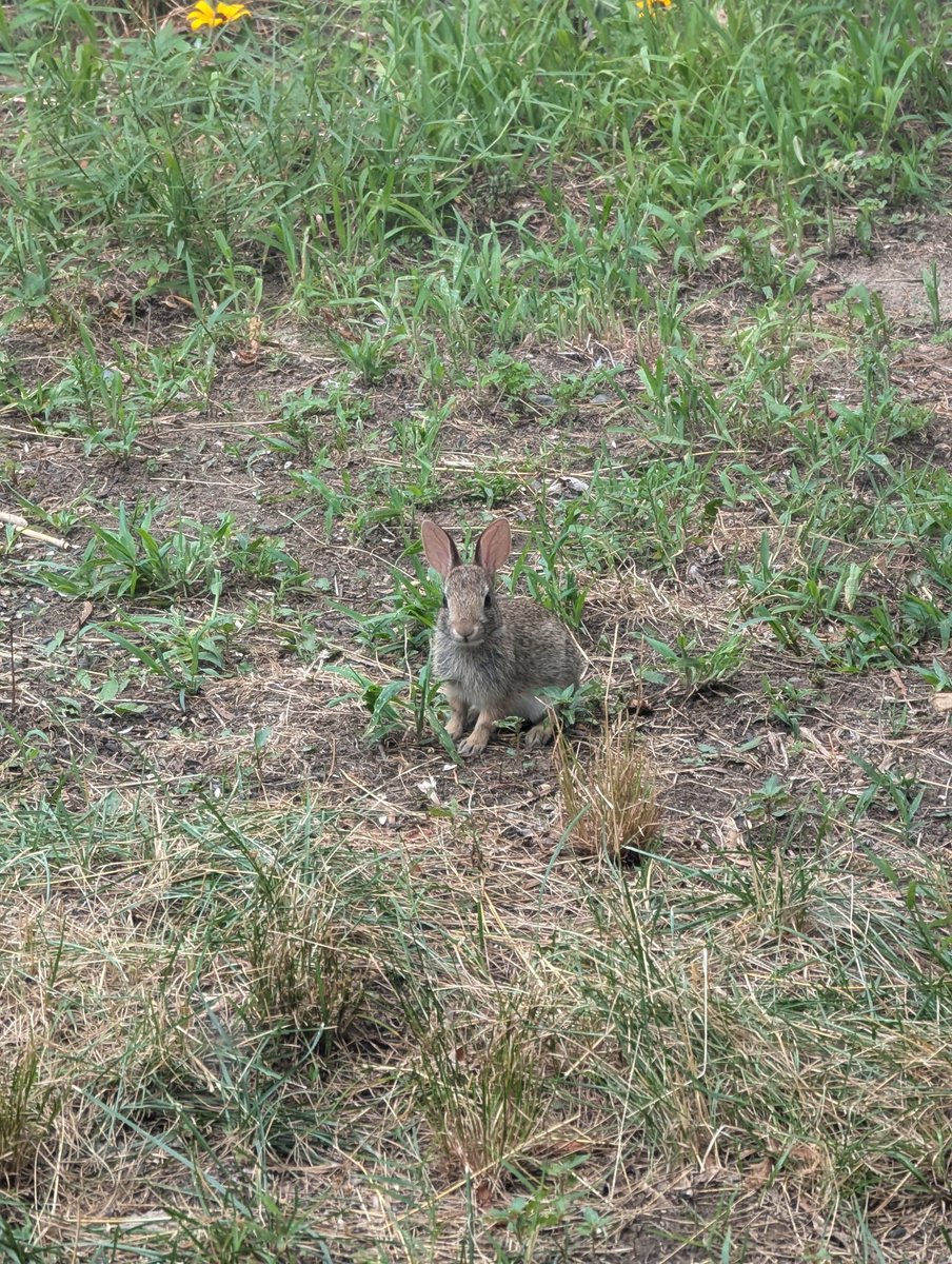 GrinningHazard - Same name on blsky tweet media
