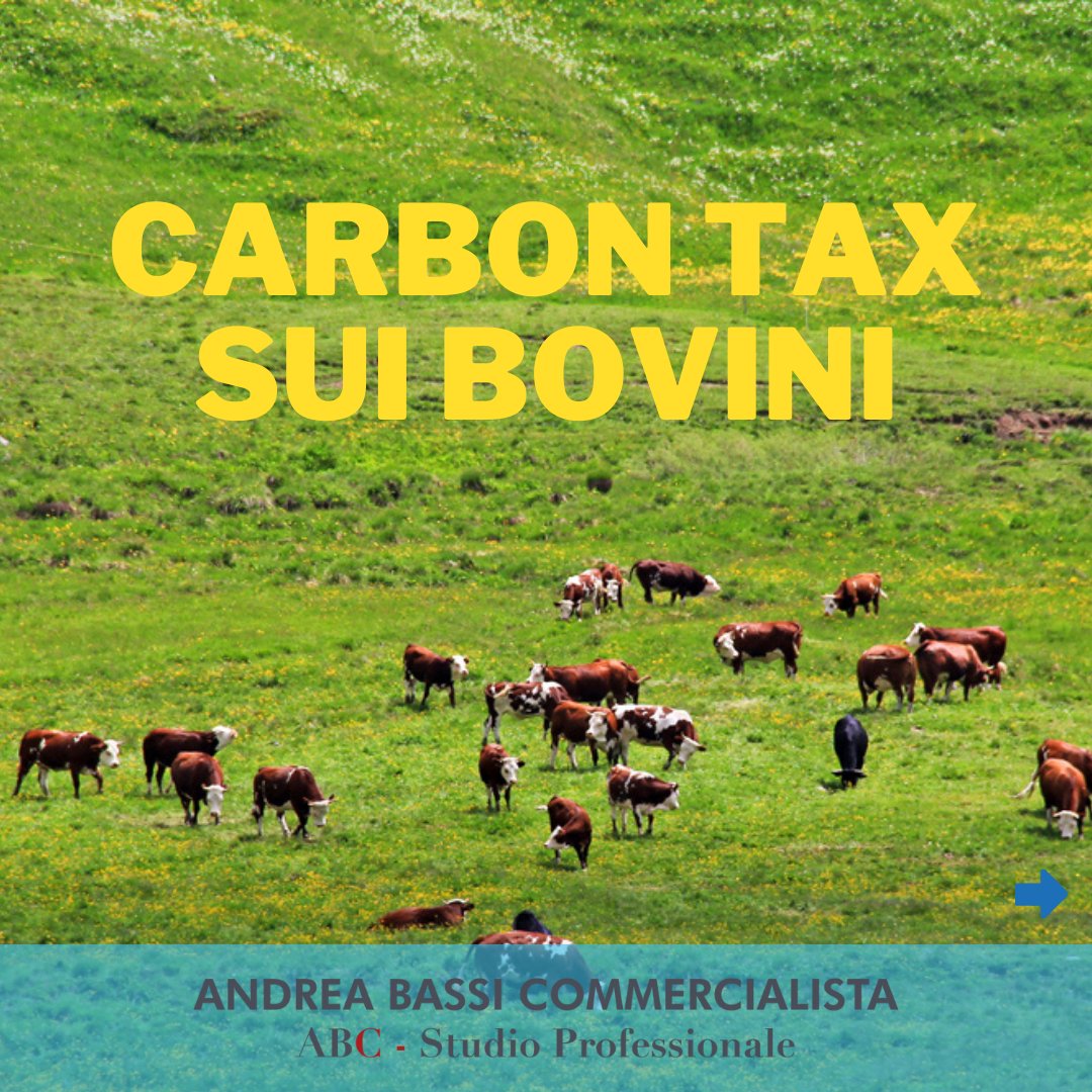 andreabassi00's tweet photo. CARBON TAX SUI BONVINI https://t.co/tTTXIb9ClK